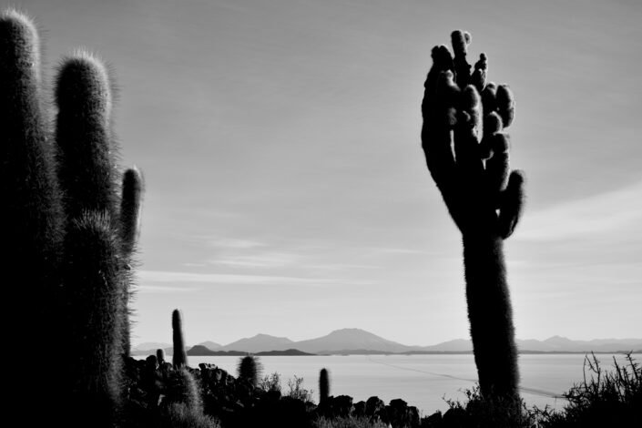 Fine Art Photography