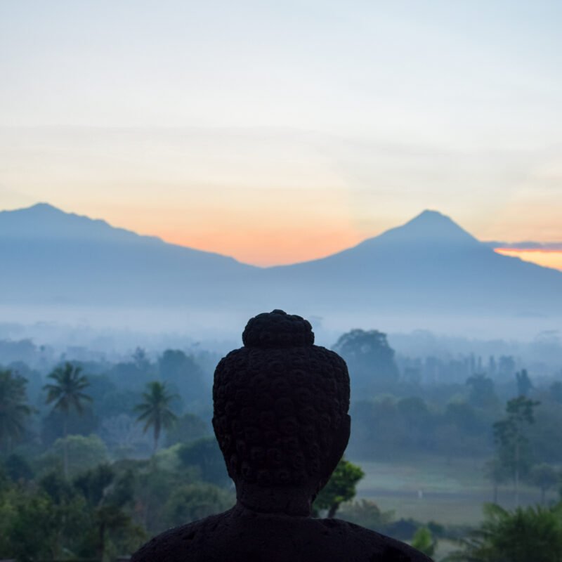 Contemplation