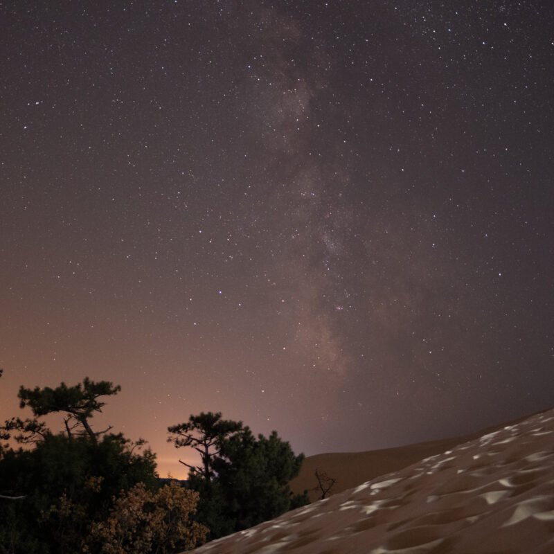 Night at the Dune