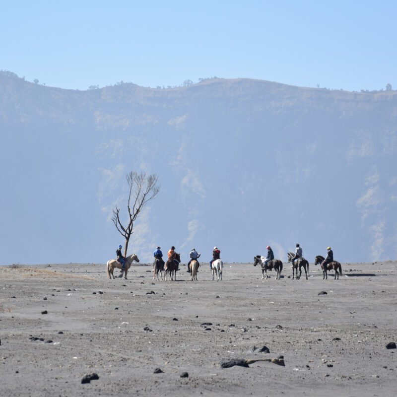Through the Dust