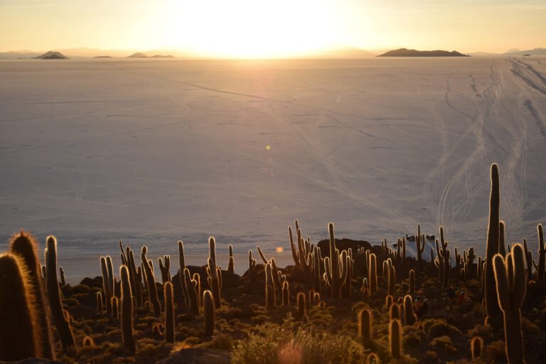 A cactus-covered island rises from a vast white salt desert, formed from an ancient volcano and surrounded by an expansive, barren landscape.