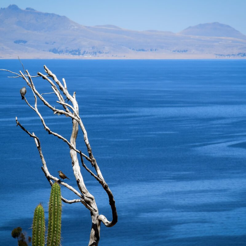 Isla del Sol