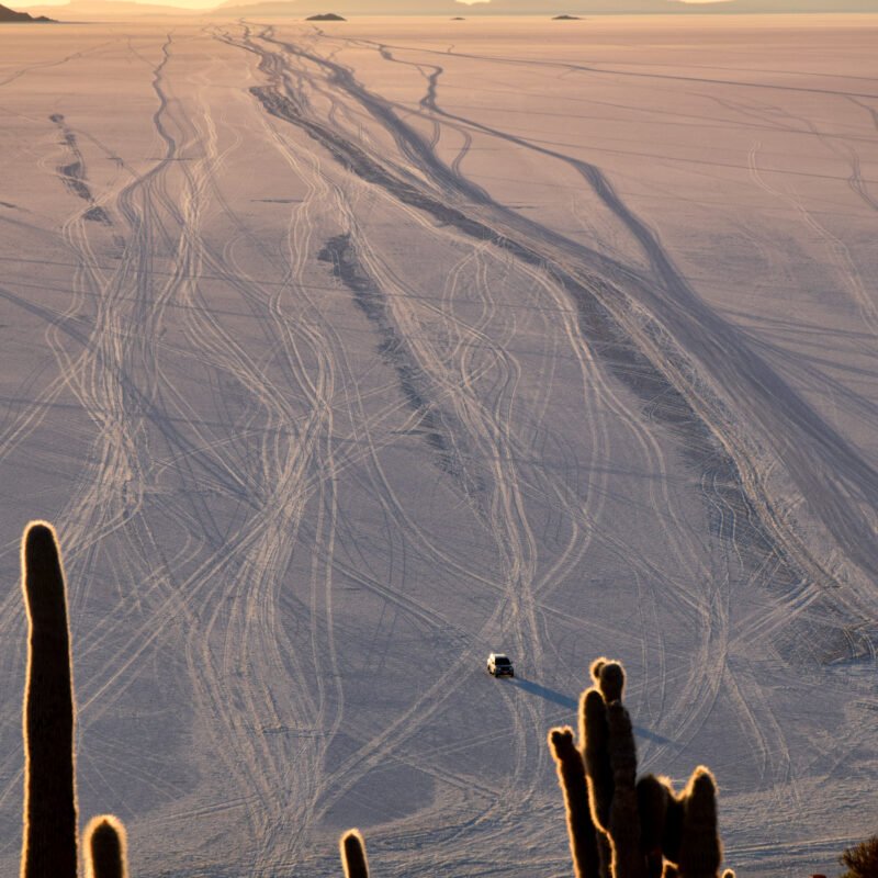 Endless Paths